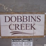 Custom Signage